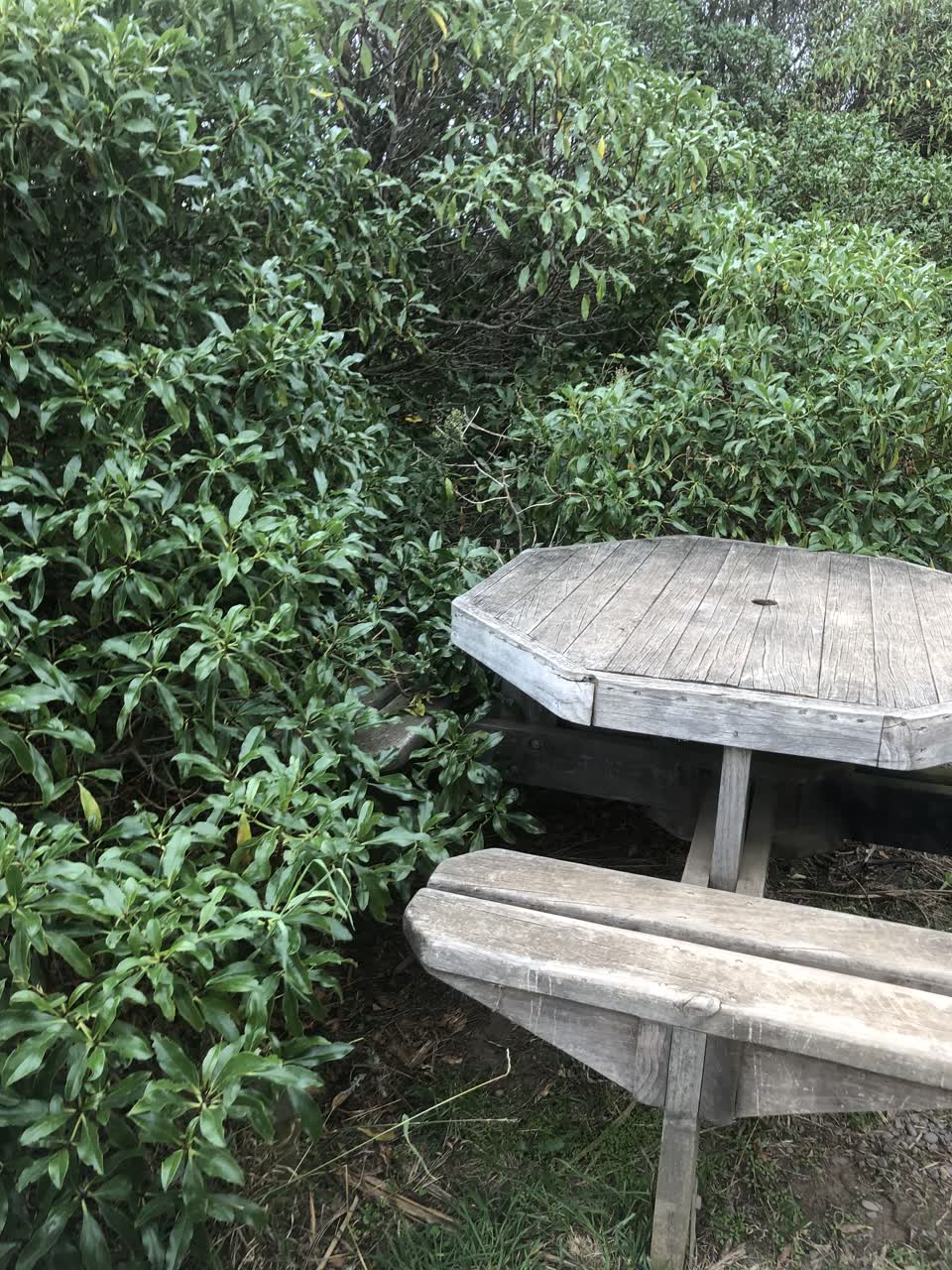 The photograph attached to this parks report