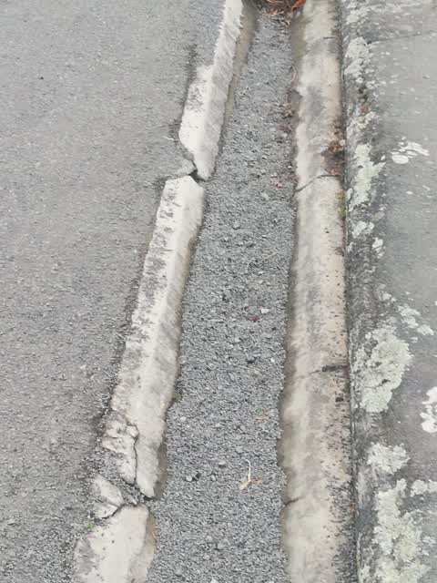 Roading/Streets, a report photo