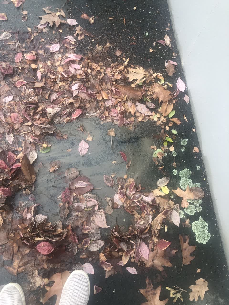 The photograph attached to this water leak report