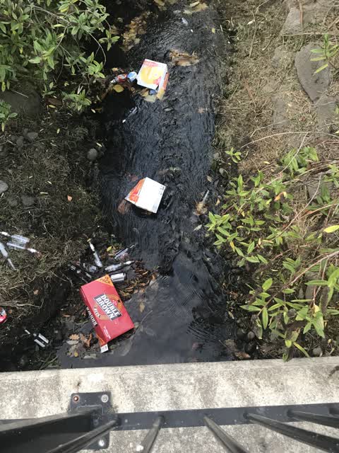 Parks, a report photo