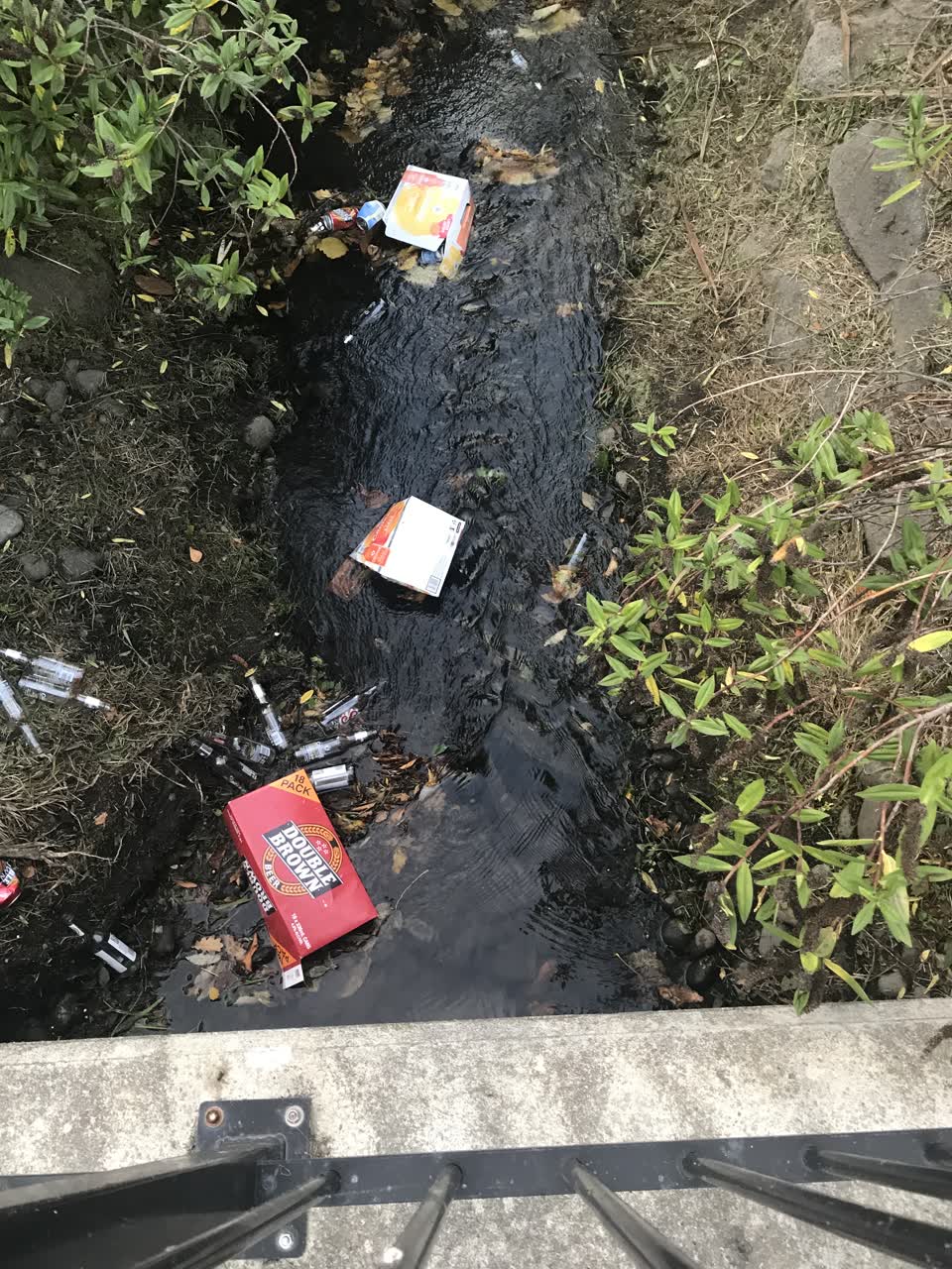 The photograph attached to this parks report