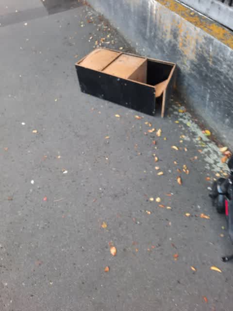 Rubbish/Recycling, a report photo