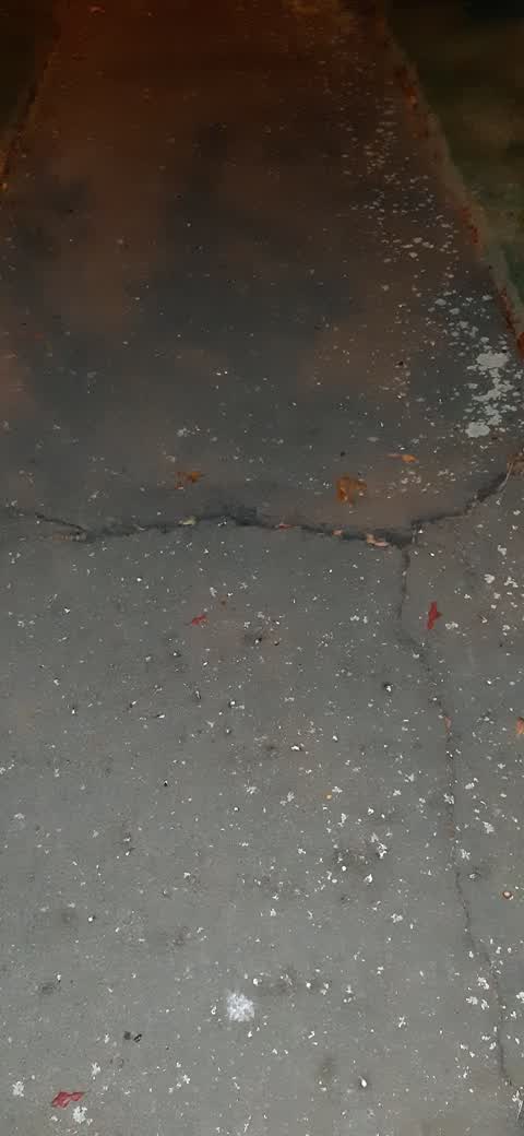 Roading/Streets, a report photo