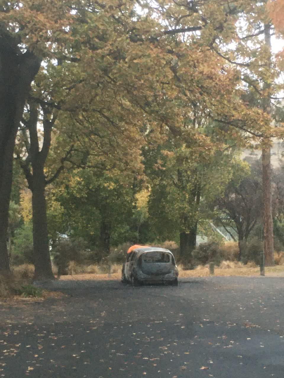 The photograph attached to this parks report