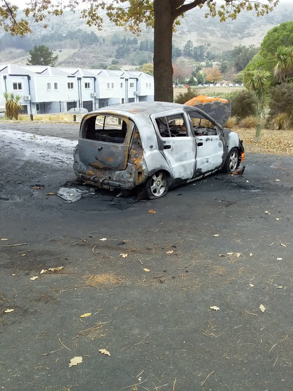 The photograph attached to this parks report
