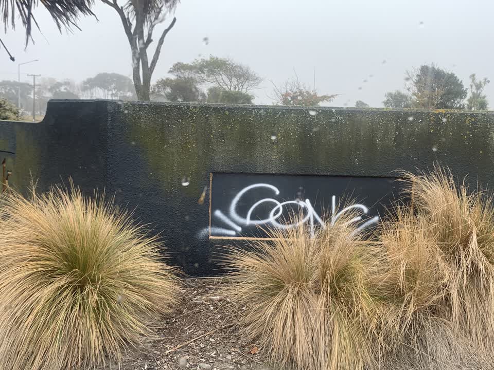 The photograph attached to this graffiti report