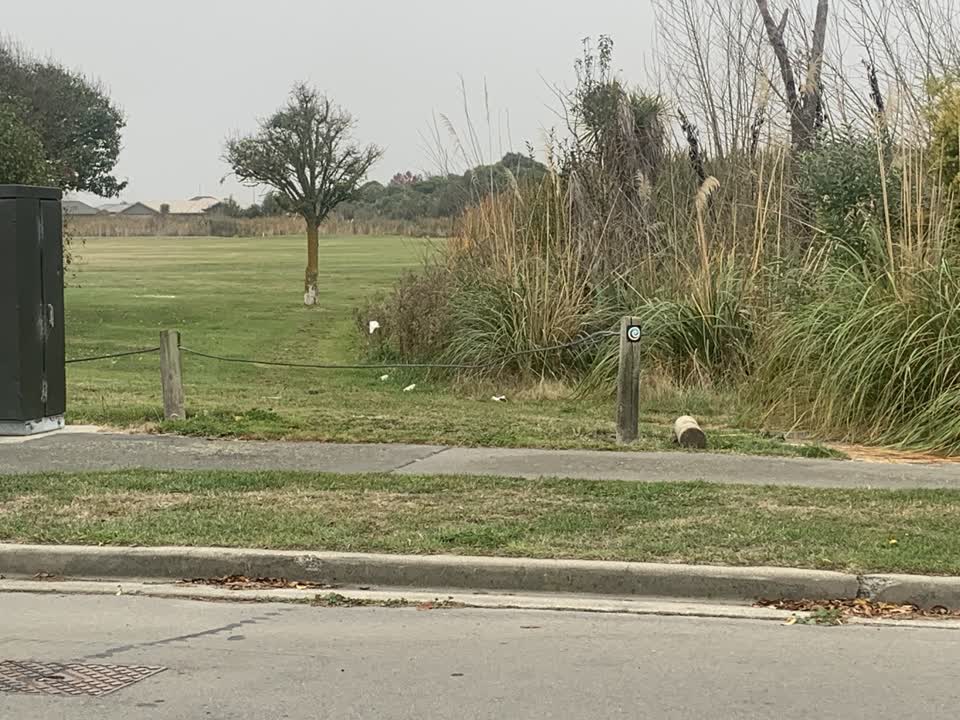The photograph attached to this parks report