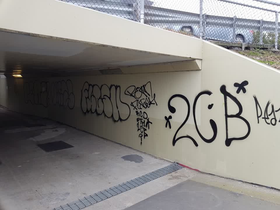 The photograph attached to this graffiti report
