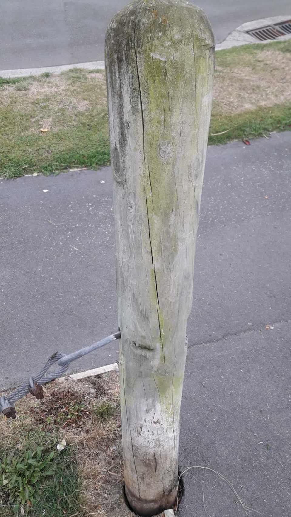 The photograph attached to this parks report
