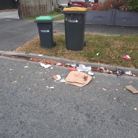 Rubbish/Recycling, a report photo
