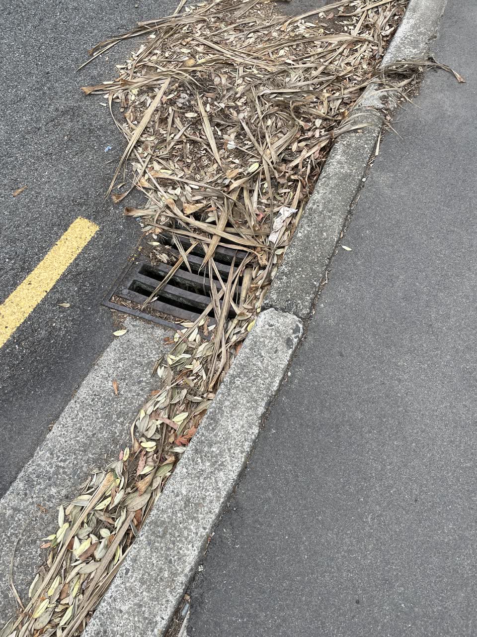 The photograph attached to this wastewater/stormwater report