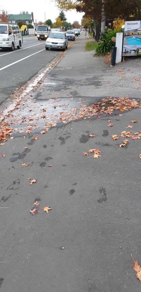 Water Leak, a report photo