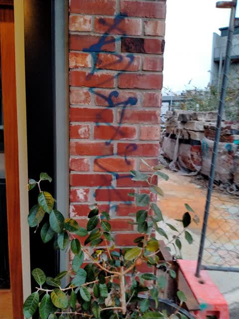 Graffiti, a report photo