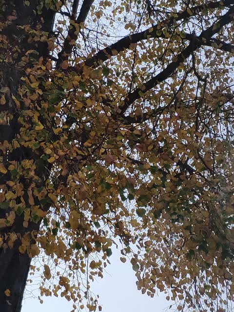 Roading/Streets, a report photo