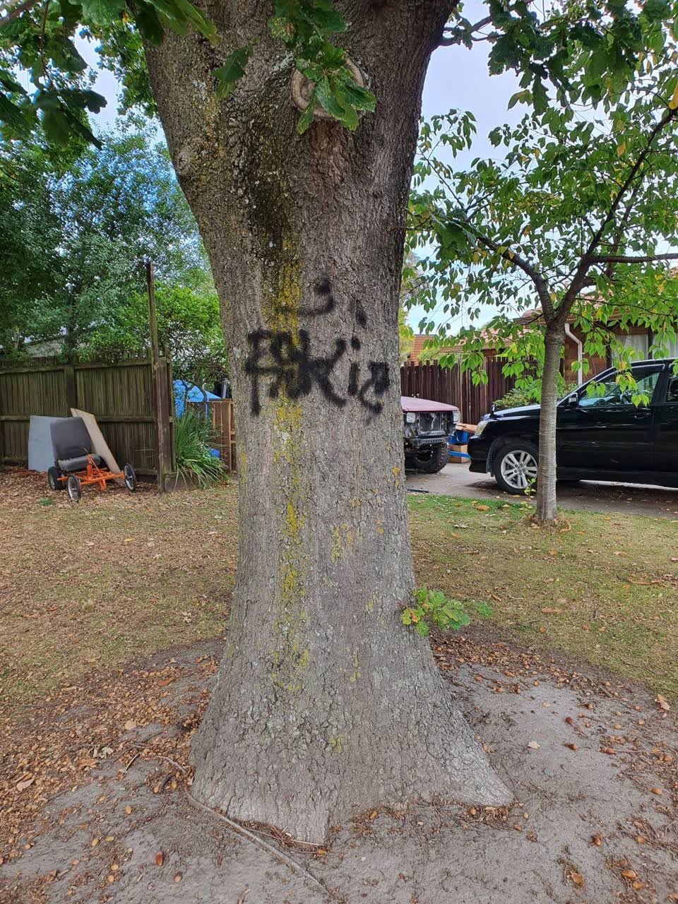 The photograph attached to this graffiti report