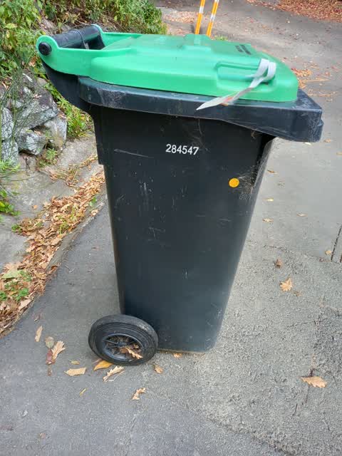 Rubbish/Recycling, a report photo