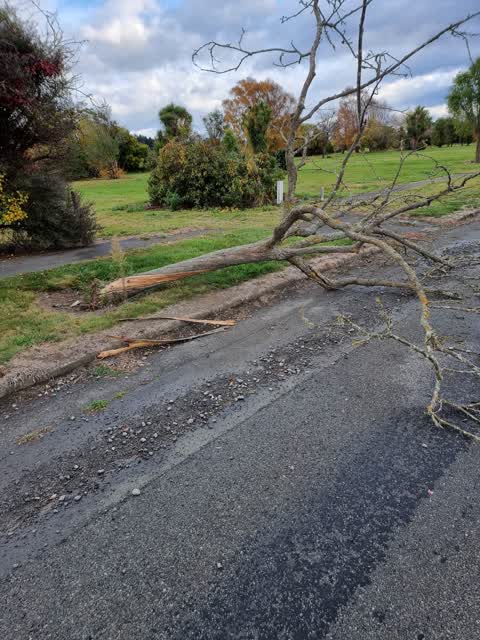Roading/Streets, a report photo