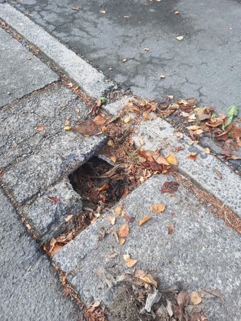 Roading/Streets, a report photo