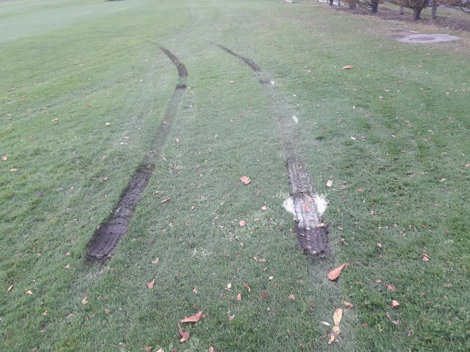 The photograph attached to this parks report