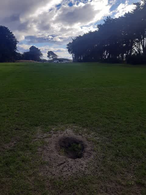 Parks, a report photo