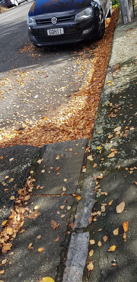 Wastewater/Stormwater, a report photo