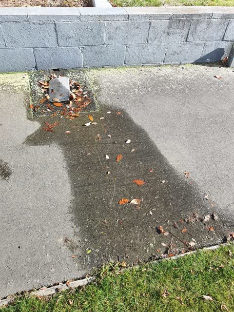 Water Leak, a report photo
