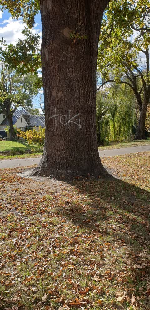 Graffiti, a report photo