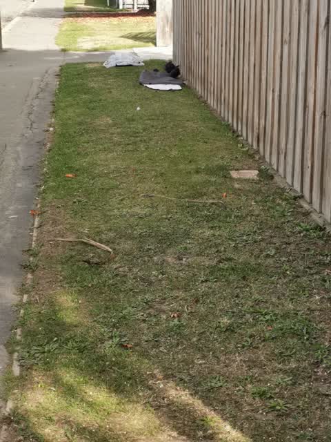 Rubbish/Recycling, a report photo