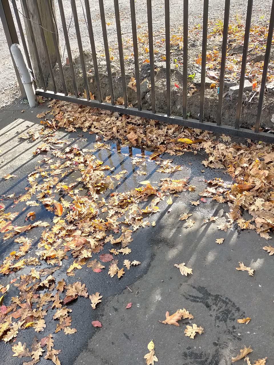 The photograph attached to this water leak report