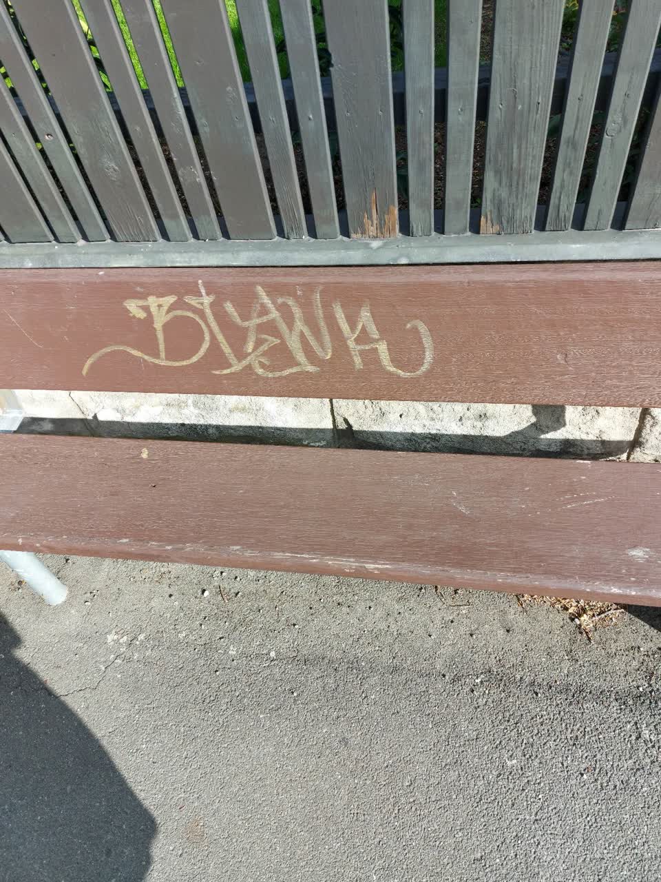 The photograph attached to this graffiti report
