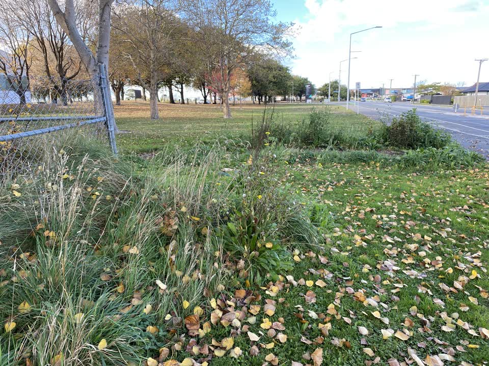 The photograph attached to this parks report