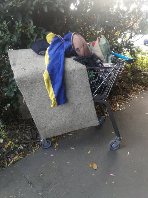 Rubbish/Recycling, a report photo