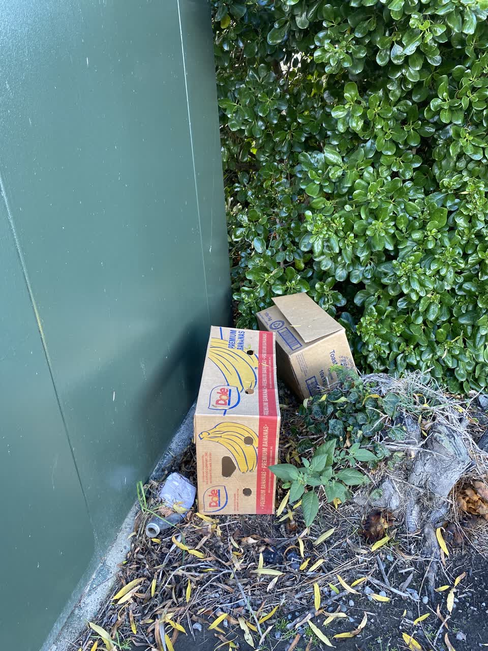 The photograph attached to this rubbish/recycling report