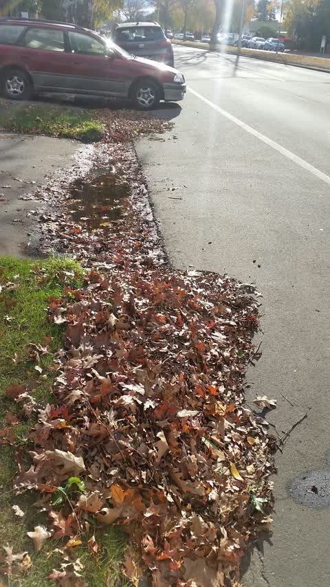 Roading/Streets, a report photo