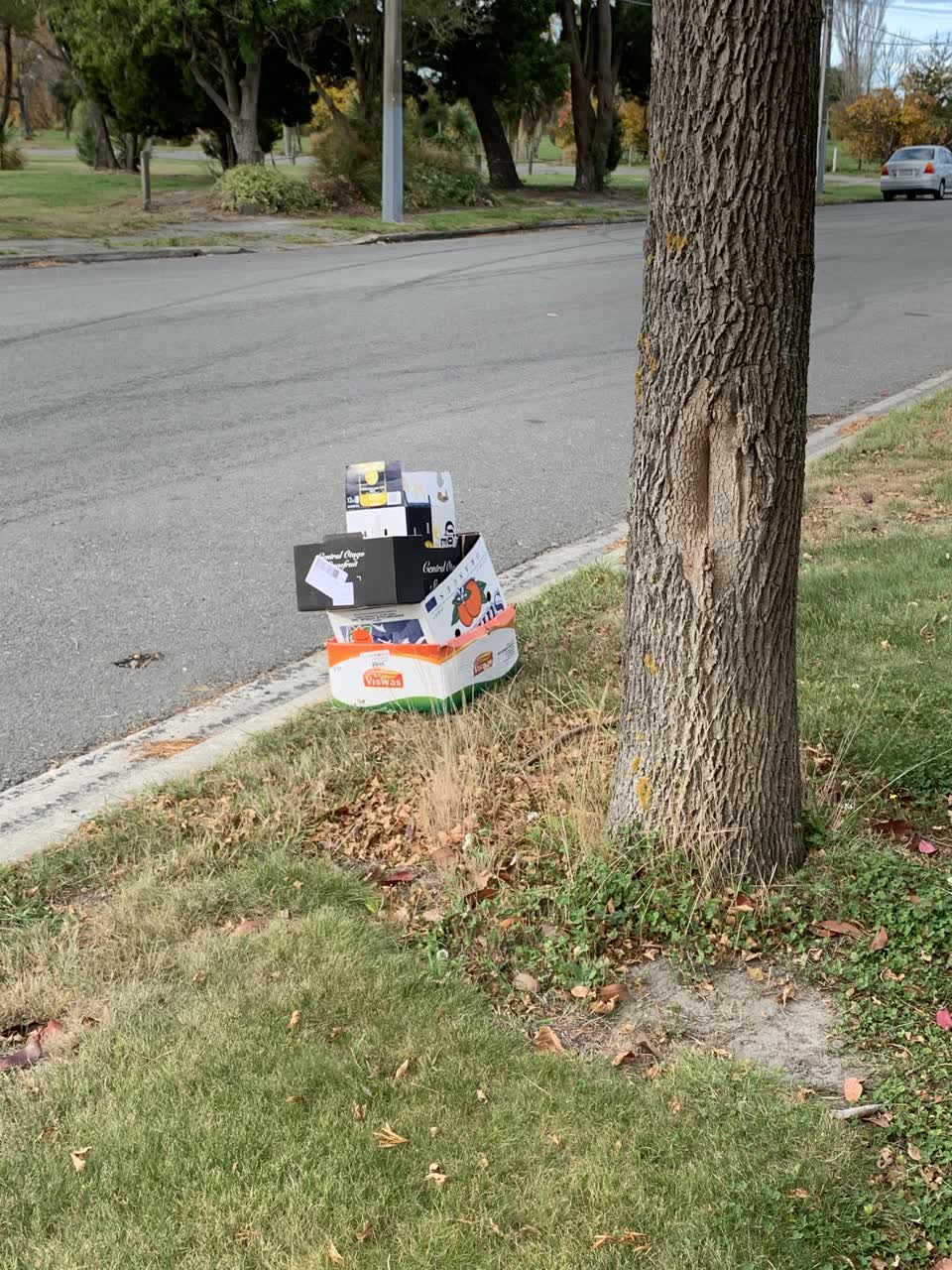 The photograph attached to this rubbish/recycling report