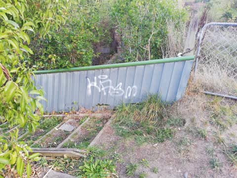 Graffiti, a report photo
