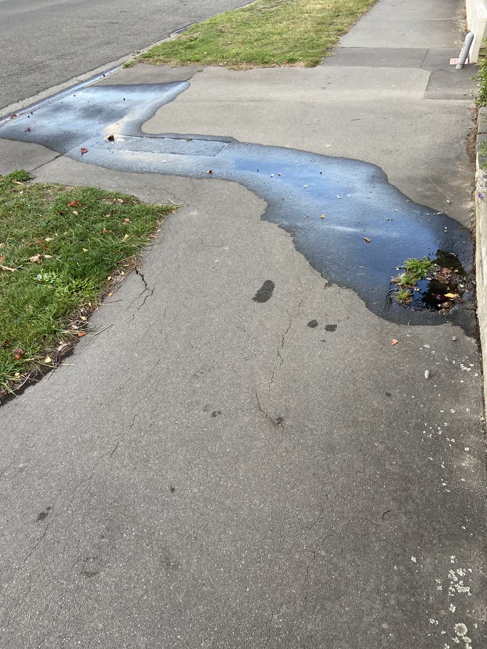 The photograph attached to this water leak report