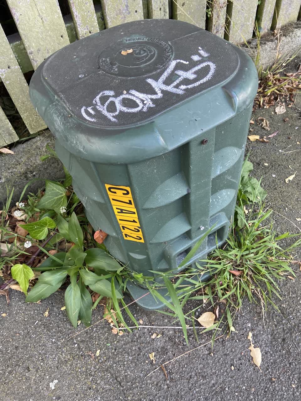 The photograph attached to this graffiti report