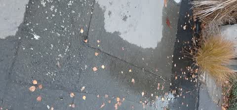 Water Leak, a report photo