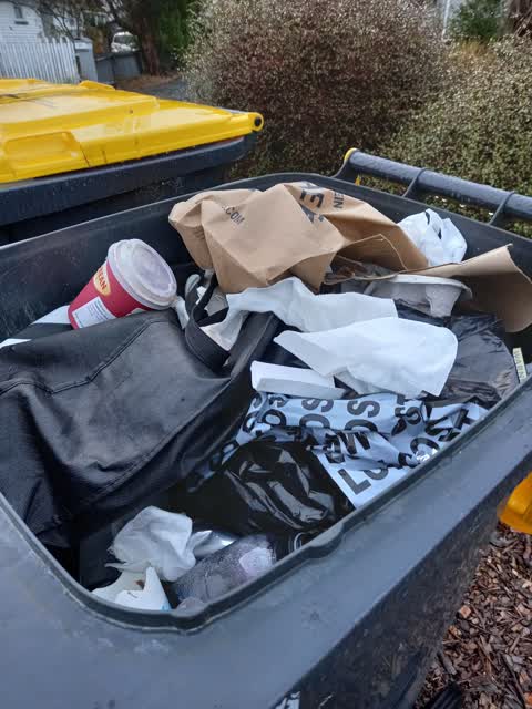 Rubbish/Recycling, a report photo