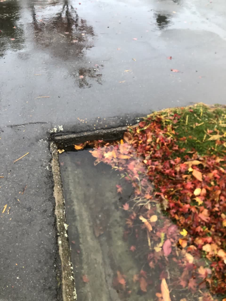 The photograph attached to this flooding report