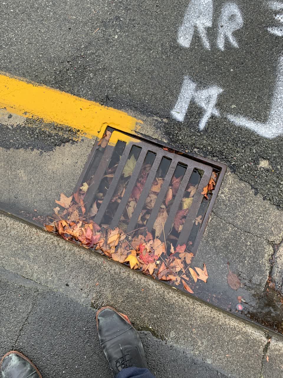 The photograph attached to this wastewater/stormwater report