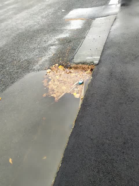 Roading/Streets, a report photo