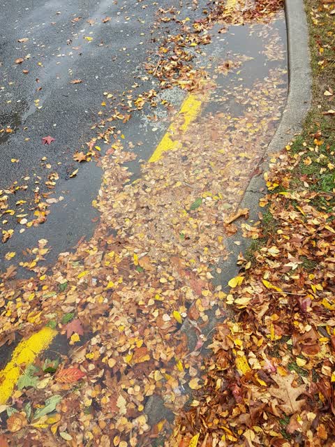 Wastewater/Stormwater, a report photo