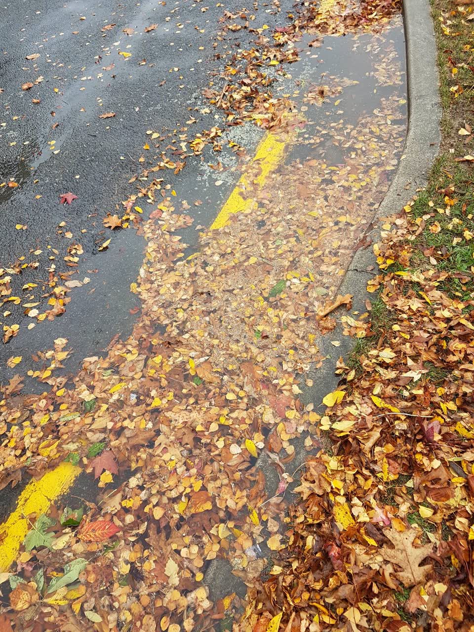 The photograph attached to this wastewater/stormwater report