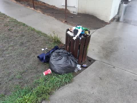 Rubbish/Recycling, a report photo