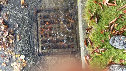 Wastewater/Stormwater, a report photo