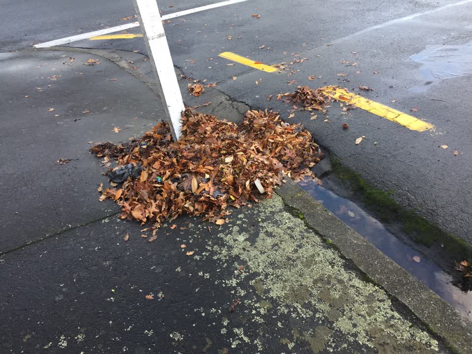The photograph attached to this wastewater/stormwater report