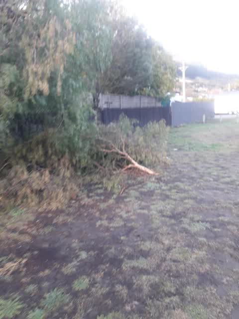 Parks, a report photo
