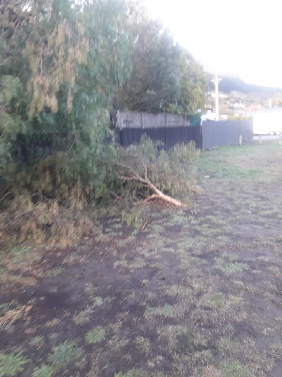 The photograph attached to this parks report